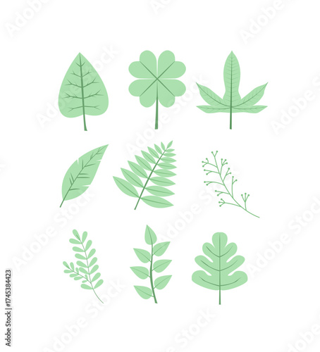 Botanical Variety Green Leaves and Foliage Collection