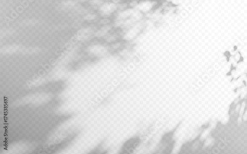 Abstract shadow gobo overlay from tree branch on a transparent background.