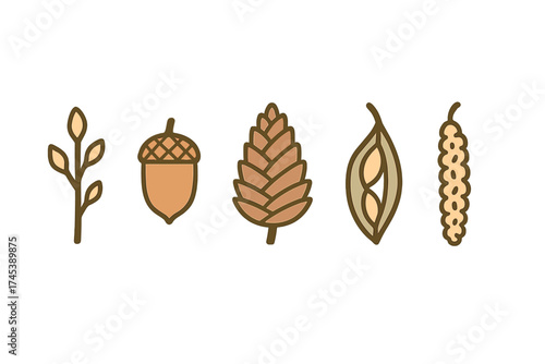 Stylized autumn forest elements set featuring acorn pine cone seed pod and twig