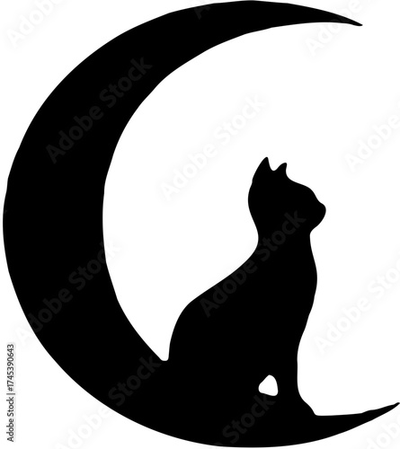 black cat and moon