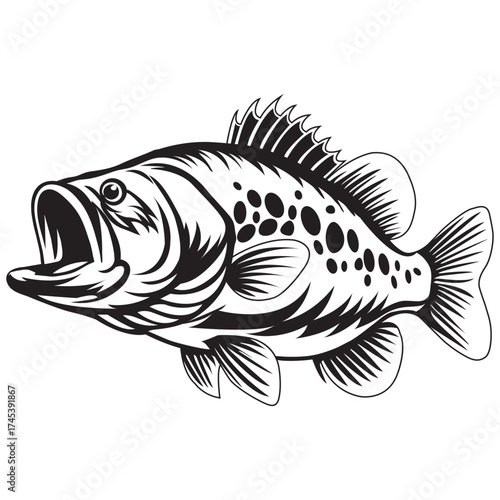 sea bass fish vector silhouette