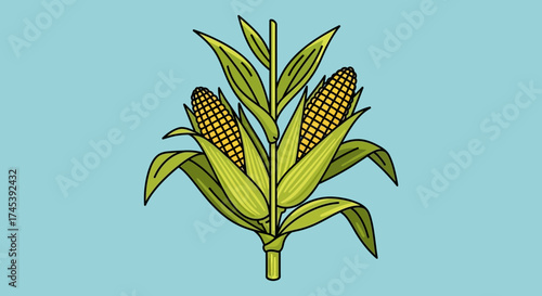 Illustration of two ears of corn with green leaves, set against a blue background.