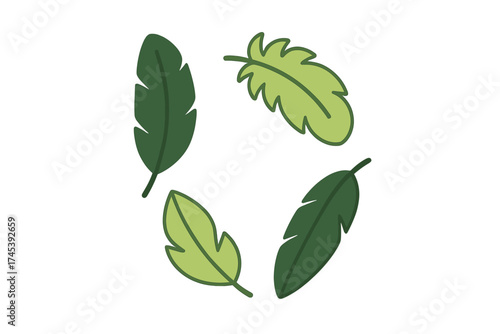 Stylized tropical banana leaves arranged in a circular pattern on white background
