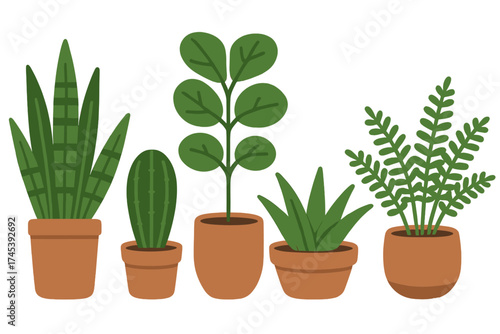 Collection of popular green potted houseplants arranged in a row for home decor