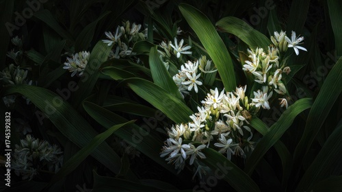 Moonlit Tuberose garden Silver Serenity