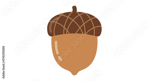 Illustration of a single acorn with a brown cap and tan body, isolated on white.