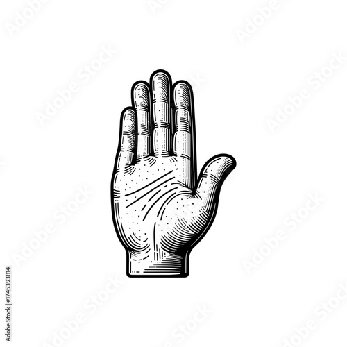 Detailed illustration of an open human hand showcasing intricate line work and texture