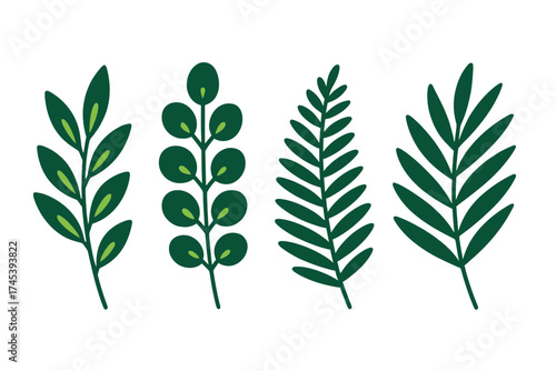 Set of four stylized green botanical branches and foliage elements on white background