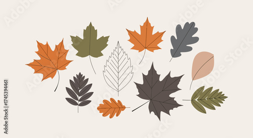 A collection of stylized autumn leaves arranged on a light-colored background.