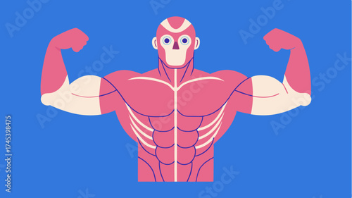 A digital representation of muscles flexing during a weightlifting movement highlighting anatomical details and strength.