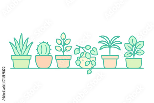 Collection of potted houseplants including cactus and succulents arranged in a row