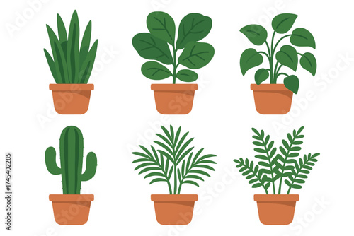 Collection of six popular indoor houseplants in terracotta pots including succulents, palms, and leafy green foliage