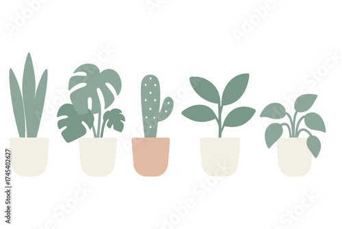 Set of five modern potted houseplants in minimalist flat design aesthetic style