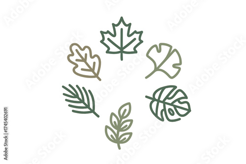 Minimalist natural foliage and tree leaves arranged in a circular pattern