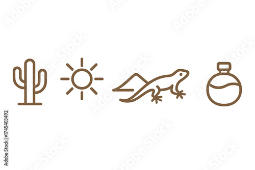 Minimalist line art symbols of desert survival: cactus, sun, lizard, and water canteen