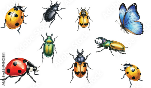 Collection of Diverse Insects and a Butterfly