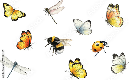 Watercolor Insects: Butterflies, Bee, Dragonfly, Ladybug