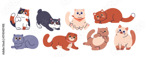 Cute cats set. Big-eyed baby kitties. Funny kawaii feline animals with happy charming playful expression. Adorable lovable sweet kittens. Kids flat vector illustration isolated on white background.
