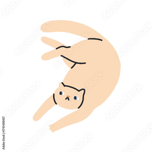 Cute cat lying with paws in funny pose. Adorable comic feline animal relaxing in humor position. Humorous kawaii lovely sweet kitty pet. Flat vector illustration isolated on white background.