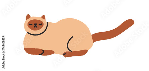 Cute sleeping cat. Adorable feline animal lying asleep, relaxing. Funny kitty, calm peaceful expression, long tail. Sweet comic sleepy siamese. Flat vector illustration isolated on white background.