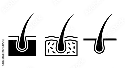 Hair Follicle Vector Icon Set 