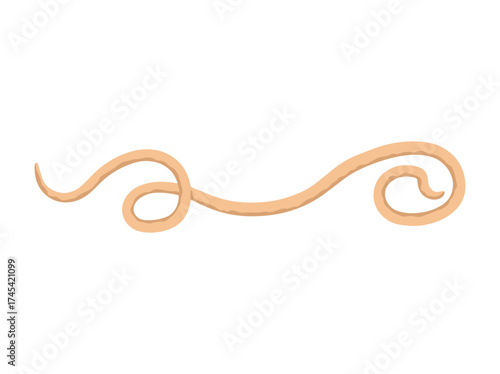 roundworm Clip Art Illustration
