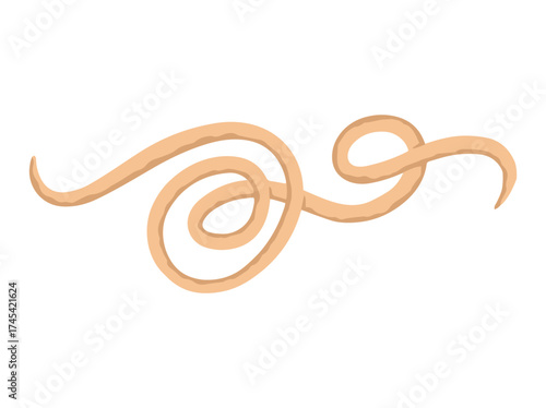 Roundworm Parasite Illustration
