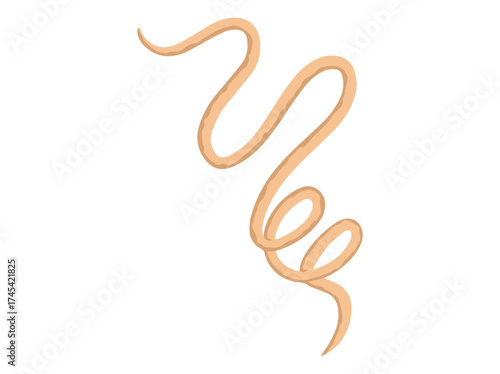 Worm Roundworm Illustration
