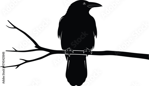 Classic Raven or Crow Silhouette Perched Centered on a Branch