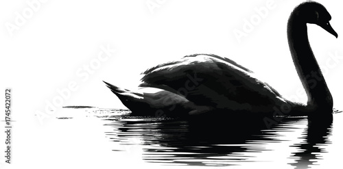 Serene Swan Silhouette with Reflections on Water in Black and White
