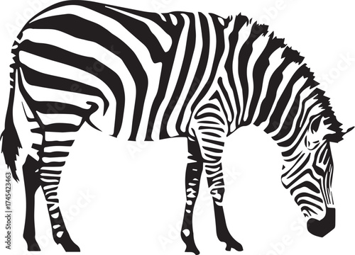 Black and white vector illustration of stylized zebra in side profile with detailed stripes and grazing posture