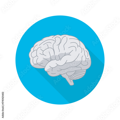 Brain Health Vector Mental Wellness Icon Neurology Insight and Medical Anatomy Flat Design on Turquoise Background Mind