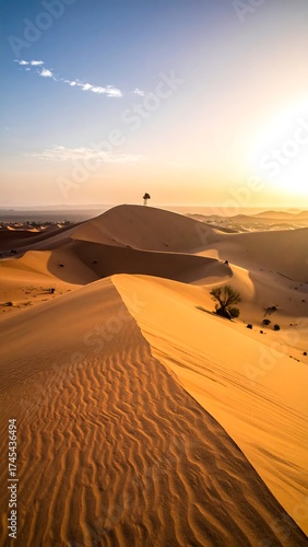 Sandy dunes at sunrise with a lone tree