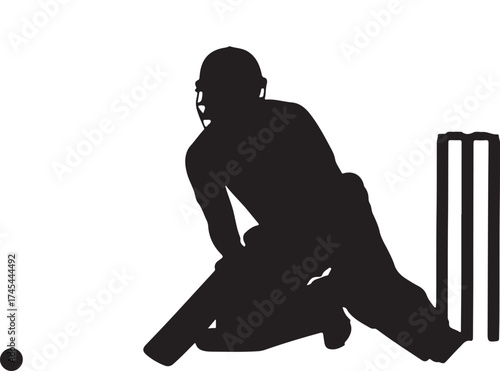 Silhouette of a cricket player swinging a bat and ball.
A black silhouette of a cricket batsman in mid-swing, captured against a white background. The player is wearing protective gear.
