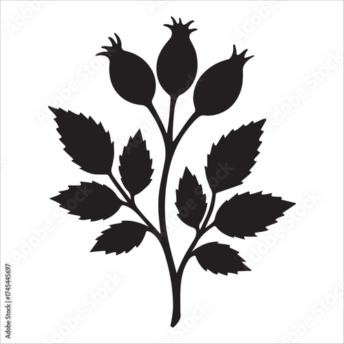 This is a black silhouette of a stem with three oval-shaped berries at the top. The stem is adorned with several serrated leaves arranged in pairs. The overall design is simple and organic, 