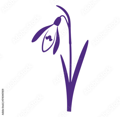 Elegant purple silhouette of a delicate snowdrop flower against a plain white background
