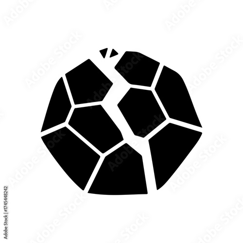 Abstract Cracked Polygonal Shape Logo Icon Black White