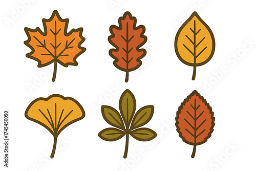 Collection of various autumn leaves including maple, oak, ginkgo, and chestnut in warm fall colors