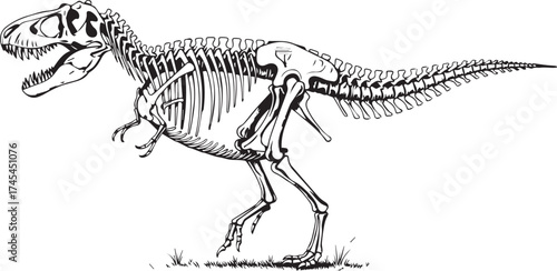Detailed tyrannosaurus rex skeleton dinosaur fossil prehistoric creature natural history ancient reptile bone anatomy