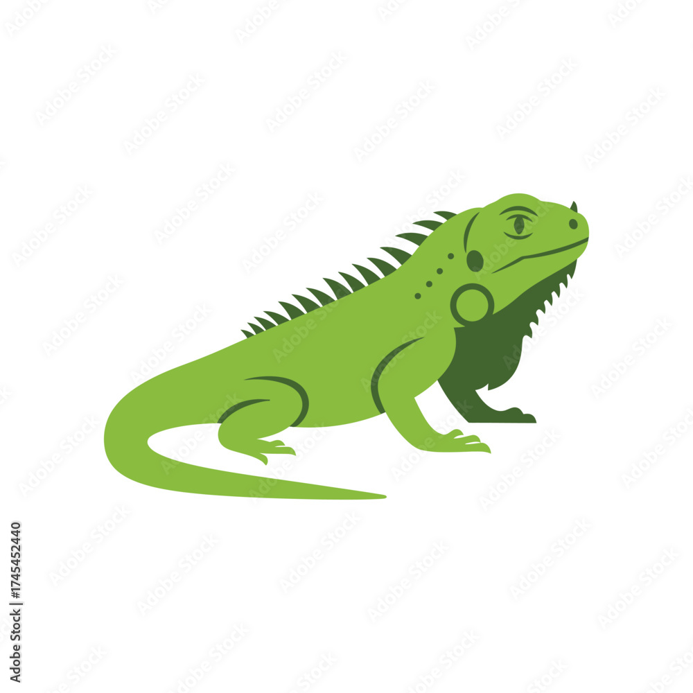 Obraz premium Vibrant green iguana with spiky dorsal crest and dewlap stands alert on a clean white background showcasing its reptilian features and tropical allure