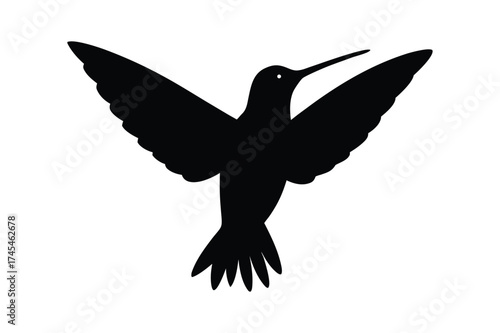 Black Hummingbird silhouette vector bundle, Set of Hummingbird silhouette vector illustration