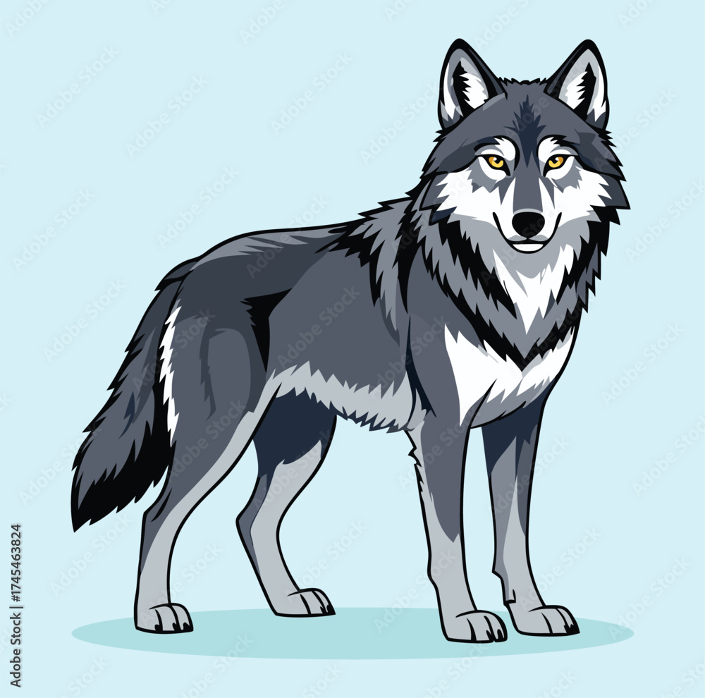 Fototapeta premium Stylized Gray Wolf Standing Vector Illustration.
