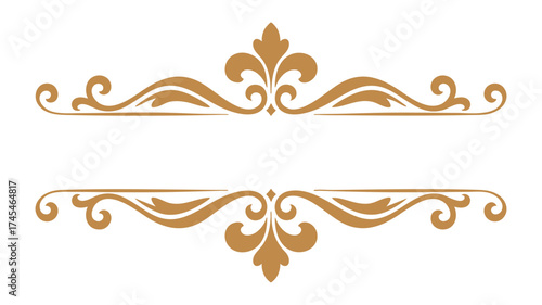 Elegant decorative border with ornate flourishes for text and titles