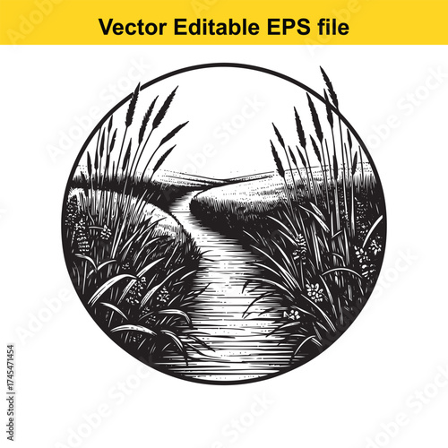 Vector art of path through tall grass and reeds leading to a winding river