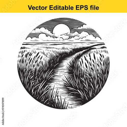 Vector art of path through tall grass and reeds under a cloudy sky