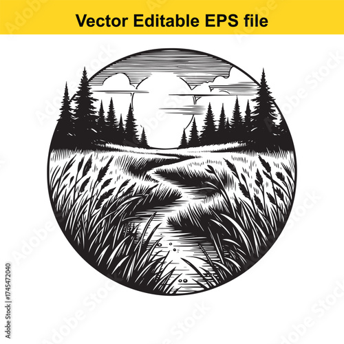 Vector art of path through grass and reeds with pine trees on horizon