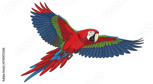 Vibrant Scarlet Macaw Parrot in Mid-Flight with Wings Spread Wide.