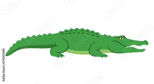 A vibrant green cartoon alligator with its mouth open showcasing sharp teeth and a scaly texture.