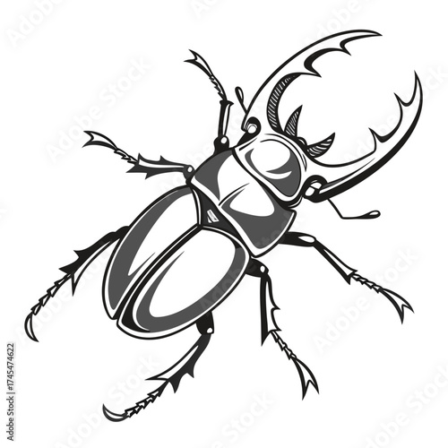 Detailed stag beetle illustration, monochrome design