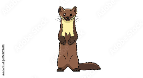 Cartoon Pine Marten Standing Upright with Yellow Chest.
